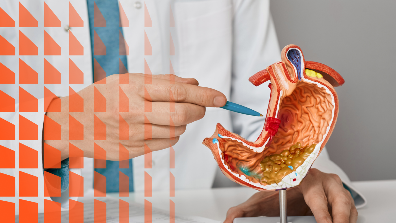 Estructura y tipos celulares de la mucosa gástrica
