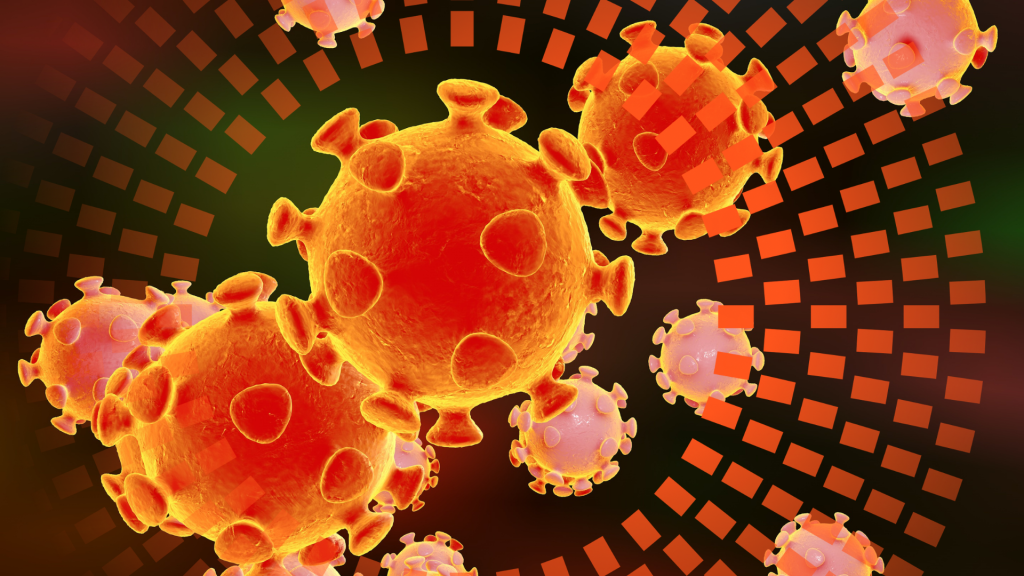 células de respuesta inmunitaria