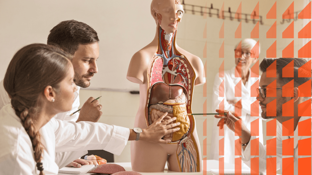 Seminario formativo Anatomía topográfica con aplicación médico-quirúrgica