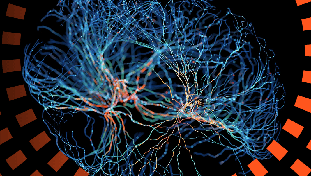 Neurociencia y fisiología del sistema nervioso: webinar gratuito