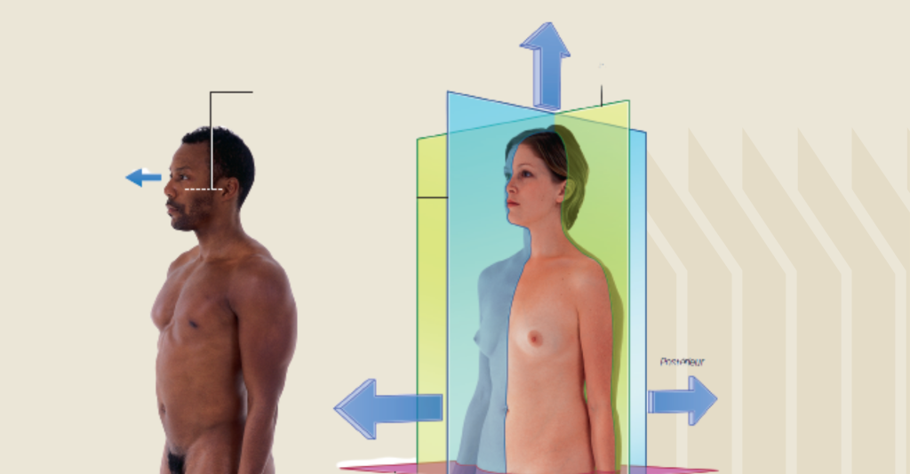 Position anatomique et plans anatomiques